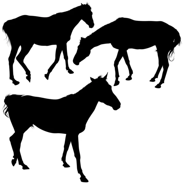 Kolekcja sylwetka konia — Wektor stockowy