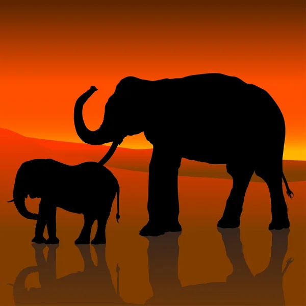 Elefanter med röd himmel — Stock vektor
