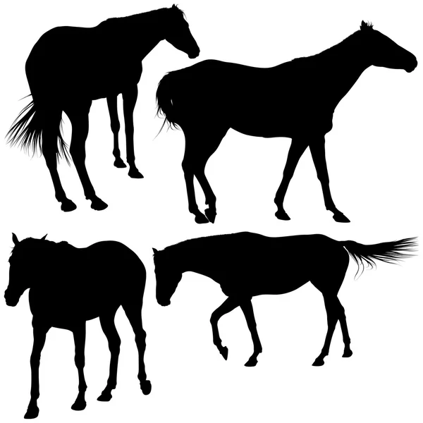 Coleção de silhuetas de cavalo —  Vetores de Stock