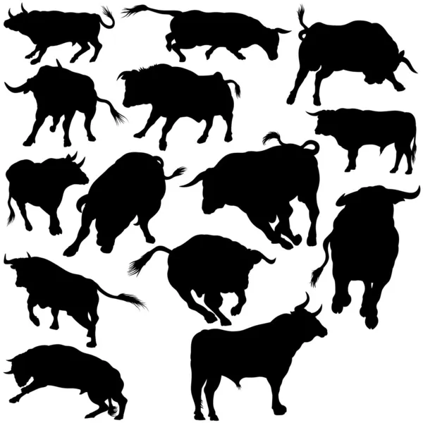 Bullensilhouetten-Kollektion — Stockvektor