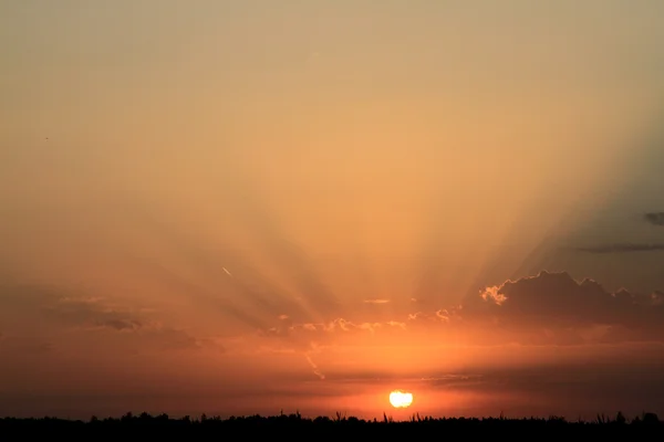 stock image Sunset.