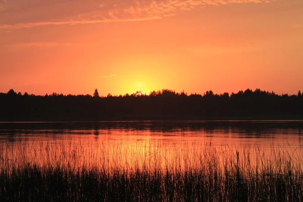 Solnedgång på sjön. Royaltyfria Stockfoton