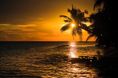 Maldivian Sunset clipart