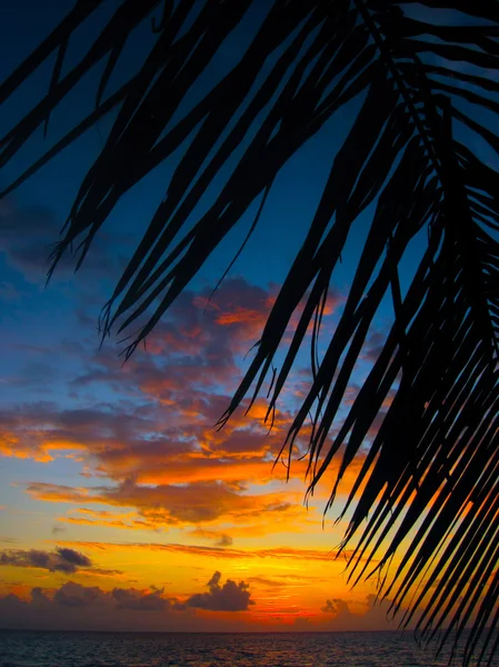 Puesta de sol de Maldivas — Foto de Stock
