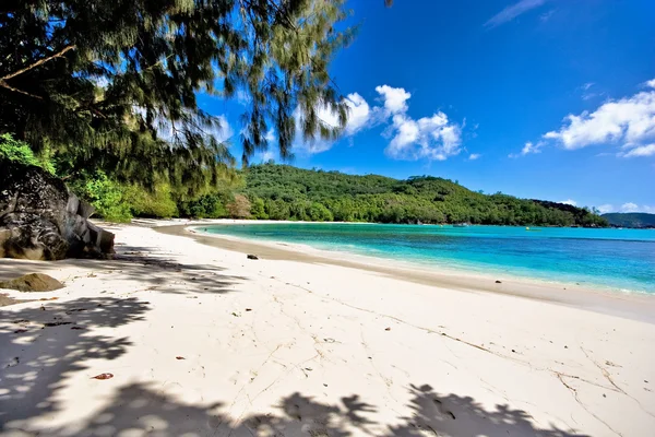 Bella spiaggia sulle Seychelles — Foto Stock