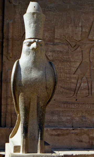Horus — Zdjęcie stockowe