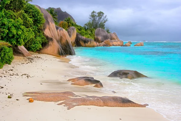 Najlepsze tropikalnej plaży — Zdjęcie stockowe