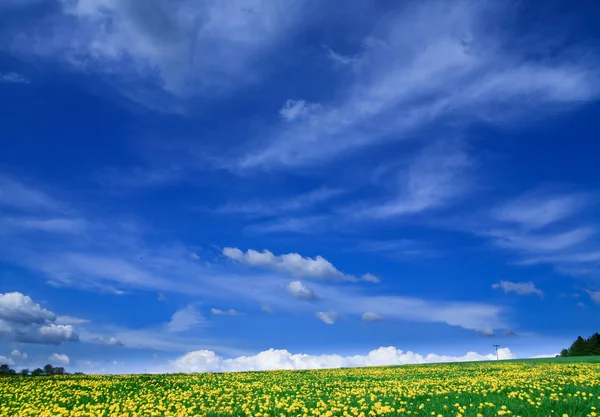 Våren landskap — Stockfoto
