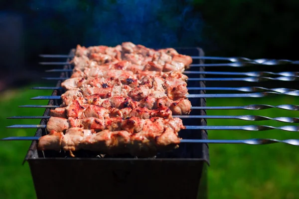 Hovězí maso shishkabobs — Stock fotografie