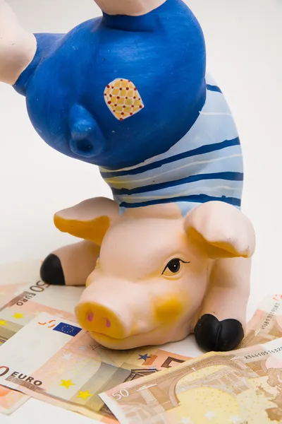 Cerdo feliz en blanco — Foto de Stock