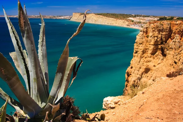 Algarve பாறை - போர்ச்சுகலில் கடற்கரை — ஸ்டாக் புகைப்படம்