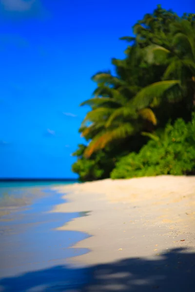 Tropical Paradise di Maladewa — Stok Foto