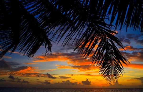 Pôr do sol das Maldivas — Fotografia de Stock
