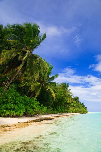 Tropical Paradise at Maldives Stock Image