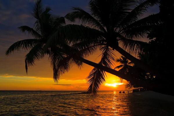 Maldivische zonsondergang — Stockfoto