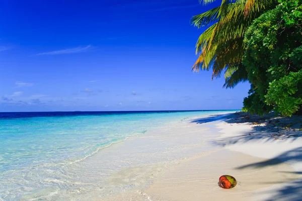 A Maldív-szigeteken, a trópusi paradicsomban — Stock Fotó