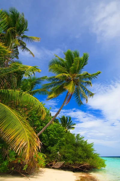 Tropický ráj v Maledivy — Stock fotografie