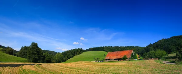 Шумский пейзаж в Германии стирает голубое небо и горы — стоковое фото