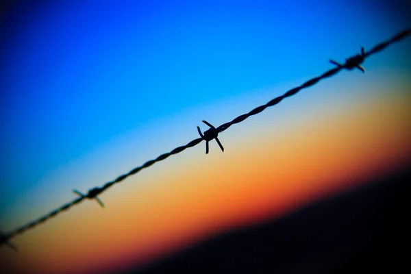 stock image Close-up of barbed wire dripping on sunset sky