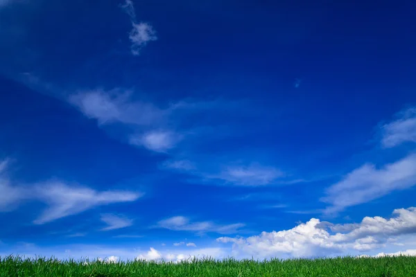 Wiosnę krajobraz - zielone pola, Błękitne niebo — Zdjęcie stockowe