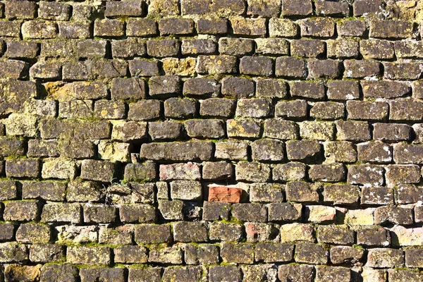 Mittelalterliche Mauer - Italien — Stockfoto