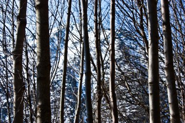 İtalya - parco del gran paradiso