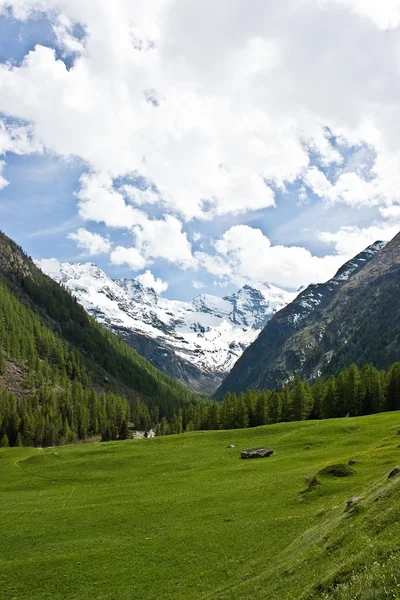 Альпийская панорама — стоковое фото