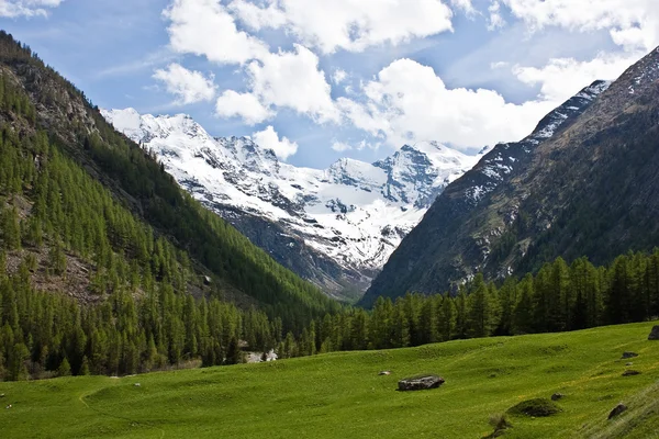 Panorama alpino — Fotografia de Stock