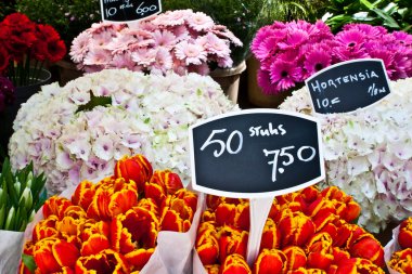 Amsterdam çiçek market