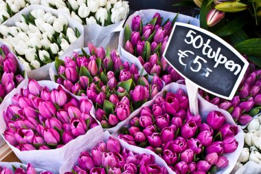 Amsterdam çiçek market