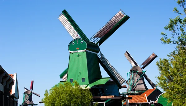 Młyny w Holandii — Zdjęcie stockowe