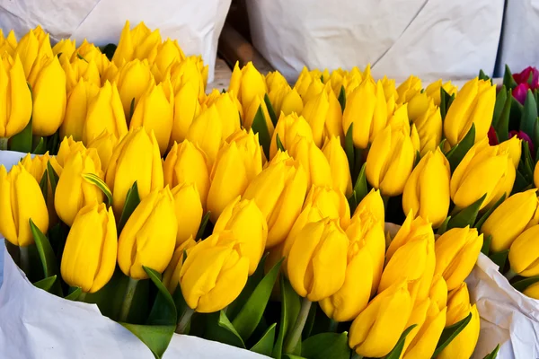 Amsterdam flowers market