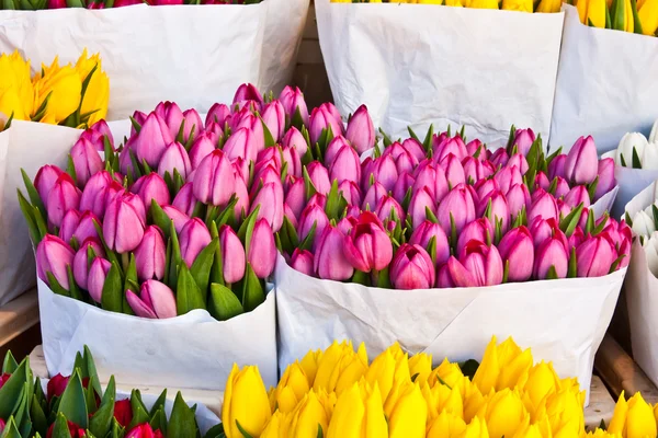 stock image Amsterdam flowers market