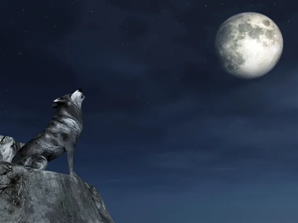 Плачущий волк — стоковое фото