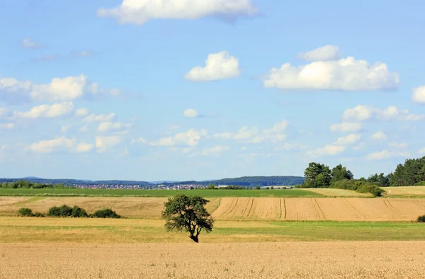 Landskap — Stockfoto