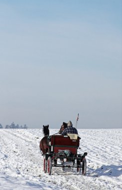 Horse-Drawn Carriage clipart