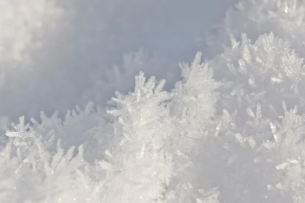 雪晶体 — 图库照片