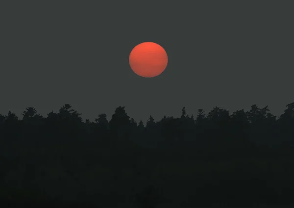 Sonnenuntergang über dem Wald — Stockfoto