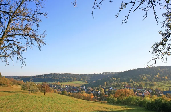 Herbstlicher Schwarzwald — Stockfoto