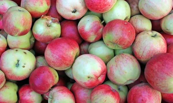 stock image Apples