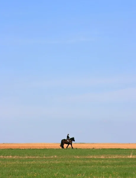 Cavaleiro solitário — Fotografia de Stock