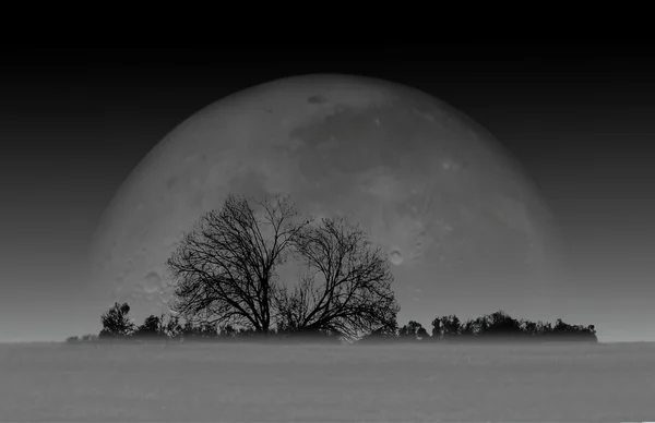 Moonrise — Stock Photo, Image