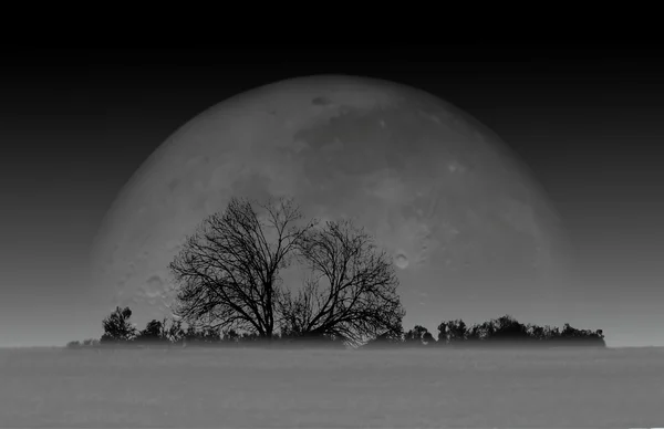 Salida de la luna — Foto de Stock