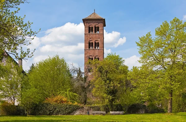 stock image Park in Summer