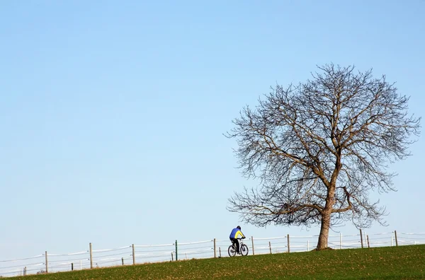 stock image Mountain Biking