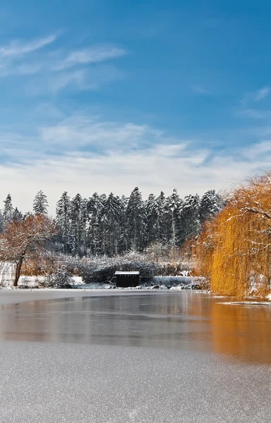 stock image Frozen Sea