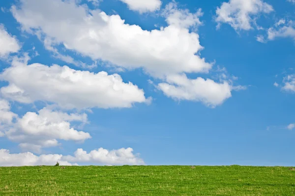 Meadow with Clouds — Stock Photo, Image