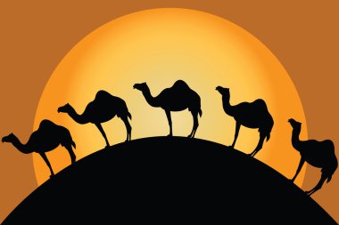 Camels in desert clipart