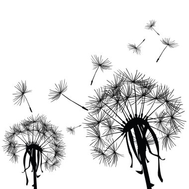 Black dandelion in the wind clipart
