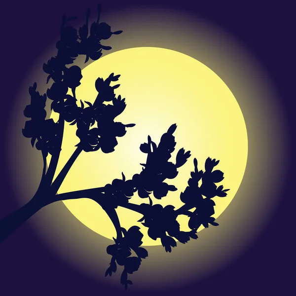 Silhouette di ramo nella luce della luna — Foto Stock